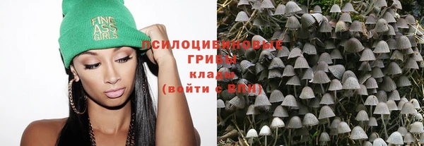 мдпв Сосновый Бор