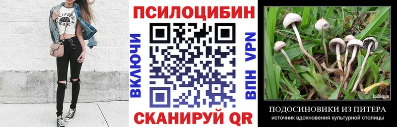 Купить  Фролово  Псилоцибиновые грибы Magic Shrooms 